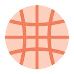 pe icon 
